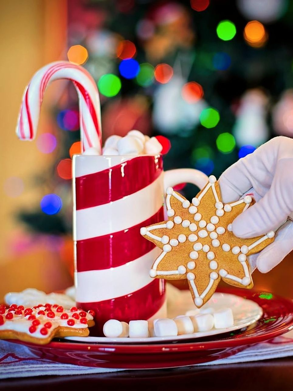 The Perfect Gift